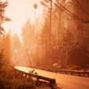 Pacific Drive Deluxe Edition Steam CD Key