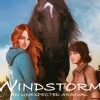 Windstorm: An Unexpected Arrival EU Nintendo Switch CD Key