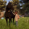 Windstorm: An Unexpected Arrival EU Nintendo Switch CD Key