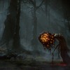 ELDEN RING: Shadow of the Erdtree Deluxe Edition EMEA PC Steam CD Key
