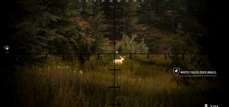 Hunting Simulator 2 Bear Hunter Edition AR Xbox Series X|S CD Key Hunting Simulator 2 Bear Hunter Edition AR Xbox Series X|S CD Key