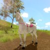 The Unicorn Princess EU Nintendo Switch CD Key