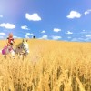 The Unicorn Princess EU Nintendo Switch CD Key