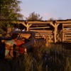 The Texas Chain Saw Massacre EU XBOX One / Xbox Series X|S CD Key