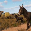 Planet Zoo - Barnyard Animal Pack DLC PC Steam CD Key Planet Zoo - Barnyard Animal Pack DLC PC Steam CD Key