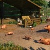 Planet Zoo - Barnyard Animal Pack DLC PC Steam CD Key Planet Zoo - Barnyard Animal Pack DLC PC Steam CD Key