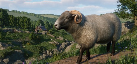 Planet Zoo - Barnyard Animal Pack DLC PC Steam CD Key Planet Zoo - Barnyard Animal Pack DLC PC Steam CD Key