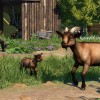 Planet Zoo - Barnyard Animal Pack DLC PC Steam CD Key Planet Zoo - Barnyard Animal Pack DLC PC Steam CD Key