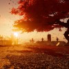 Ghost of Tsushima Director's Cut EU PC Steam CD Key