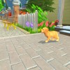 My Universe - Puppies & Kittens EU Nintendo Switch CD Key