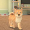 My Universe - Puppies & Kittens EU Nintendo Switch CD Key