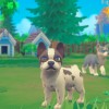 My Universe - Puppies & Kittens EU Nintendo Switch CD Key