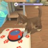 My Universe - Puppies & Kittens EU Nintendo Switch CD Key