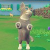My Universe - Puppies & Kittens EU Nintendo Switch CD Key