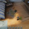 Aquarist NA PS5 CD Key