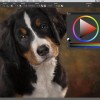 Corel Painter 2020 CD Key (Lifetime / 1 Device)