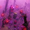 The Riftbreaker: Heart of the Swamp DLC PC Steam CD Key