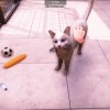 Animal Shelter 2 PC Steam CD Key