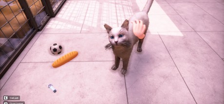 Animal Shelter 2 PC Steam CD Key Animal Shelter 2 PC Steam CD Key