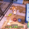 Animal Shelter 2 PC Steam CD Key