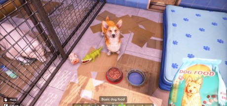 Animal Shelter 2 PC Steam CD Key Animal Shelter 2 PC Steam CD Key