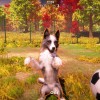 Animal Shelter 2 PC Steam CD Key