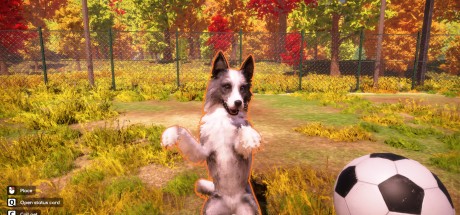 Animal Shelter 2 PC Steam CD Key Animal Shelter 2 PC Steam CD Key