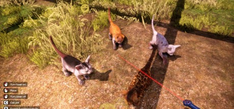 Animal Shelter 2 PC Steam CD Key Animal Shelter 2 PC Steam CD Key