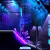 Eden Genesis EU PS5 CD Key