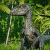 Jurassic World Evolution - Raptor Squad Skin Collection DLC EU PC Steam CD Key Jurassic World Evolution - Raptor Squad Skin Collection DLC EU PC Steam CD Key