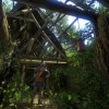 Kingdom Come: Deliverance - The Amorous Adventures of Bold Sir Hans Capon DLC EU PC Steam CD Key