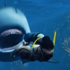 Maneater Apex Edition EU PC Steam CD Key