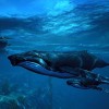 Maneater Apex Edition EU PC Steam CD Key