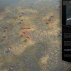 Panzer Corps 2 - Axis Operations 1942 DLC EU PC Steam CD Key