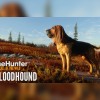 theHunter: Call of the Wild - Bloodhound DLC EU PC Steam CD Key