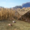 theHunter: Call of the Wild - Duck and Cover Pack DLC EU PC Steam CD Key