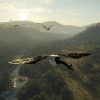 theHunter: Call of the Wild - Emerald Coast Australia DLC EU PC Steam CD Key