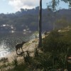 theHunter: Call of the Wild - Emerald Coast Australia DLC EU PC Steam CD Key