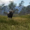 theHunter: Call of the Wild - Emerald Coast Australia DLC EU PC Steam CD Key