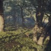 theHunter: Call of the Wild - Parque Fernando DLC EU PC Steam CD Key