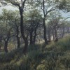 theHunter: Call of the Wild - Parque Fernando DLC EU PC Steam CD Key