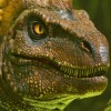 ARK: Survival Ascended US Xbox Series X|S / PC CD Key