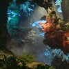 ARK: Survival Ascended US Xbox Series X|S / PC CD Key
