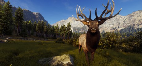 Way of the Hunter Elite Edition EU PC Steam CD Key Way of the Hunter Elite Edition EU PC Steam CD Key