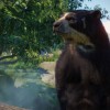 Planet Zoo - Zookeepers Animal Pack DLC PC Steam CD Key Planet Zoo - Zookeepers Animal Pack DLC PC Steam CD Key