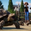 Planet Zoo - Zookeepers Animal Pack DLC PC Steam CD Key Planet Zoo - Zookeepers Animal Pack DLC PC Steam CD Key