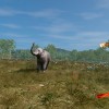 Railway Empire 2 - India DLC PC Steam CD Key Railway Empire 2 - India DLC PC Steam CD Key