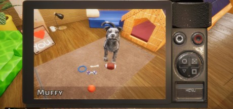 Animal Shelter EU PC Steam CD Key Animal Shelter EU PC Steam CD Key