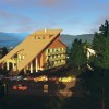 Cities: Skylines - Alpine Tunes Radio DLC PC Steam CD Key
