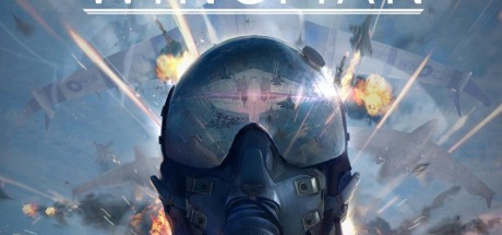 Project Wingman ASIA PC Steam CD Key